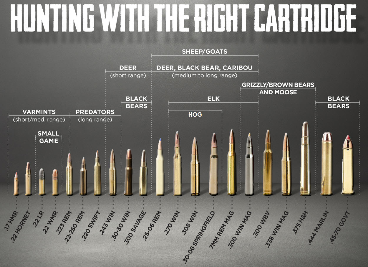 Bullet Size Chart All Rifle Calibers Smallest To Largest Wal